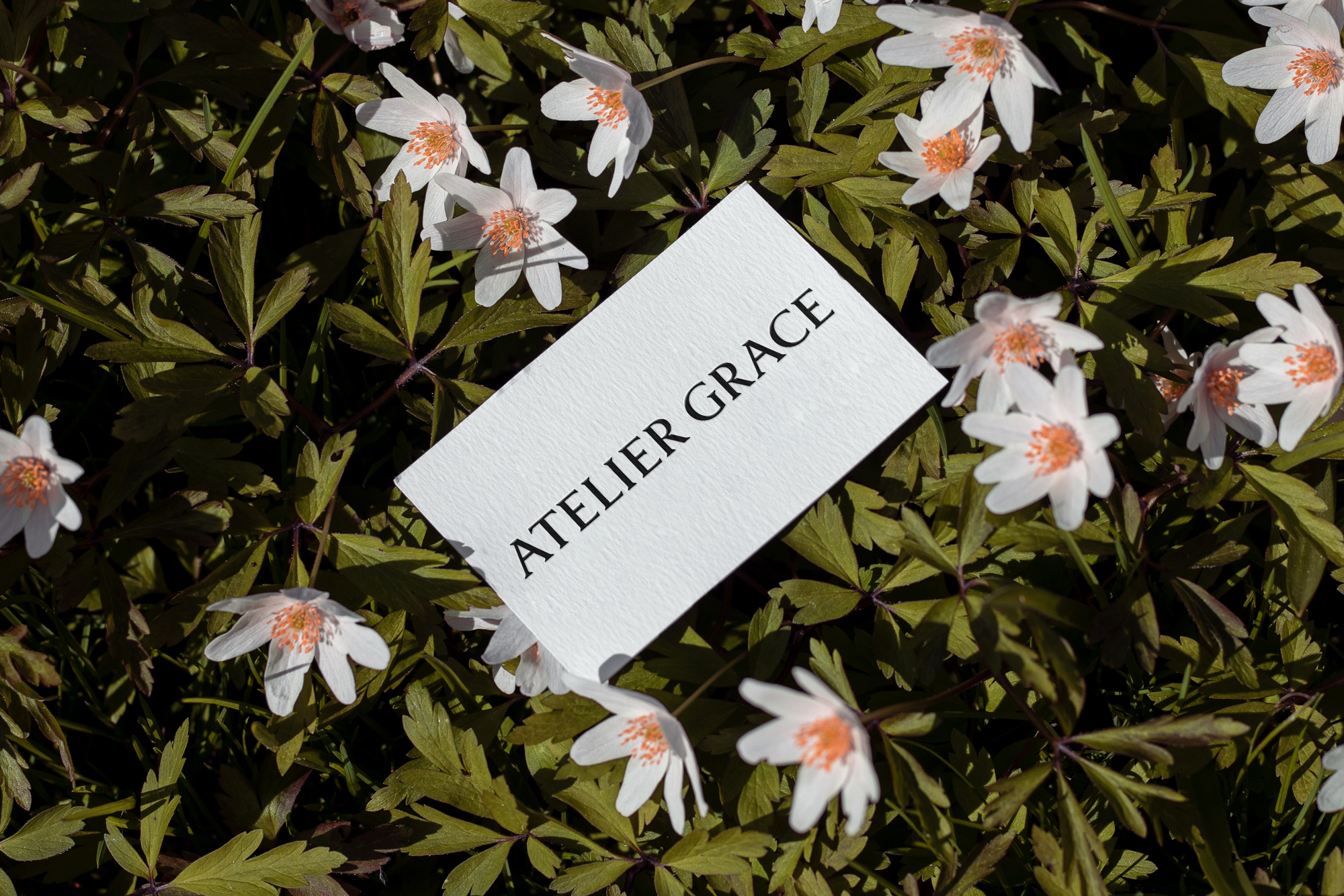 Studio Matthew van Ede