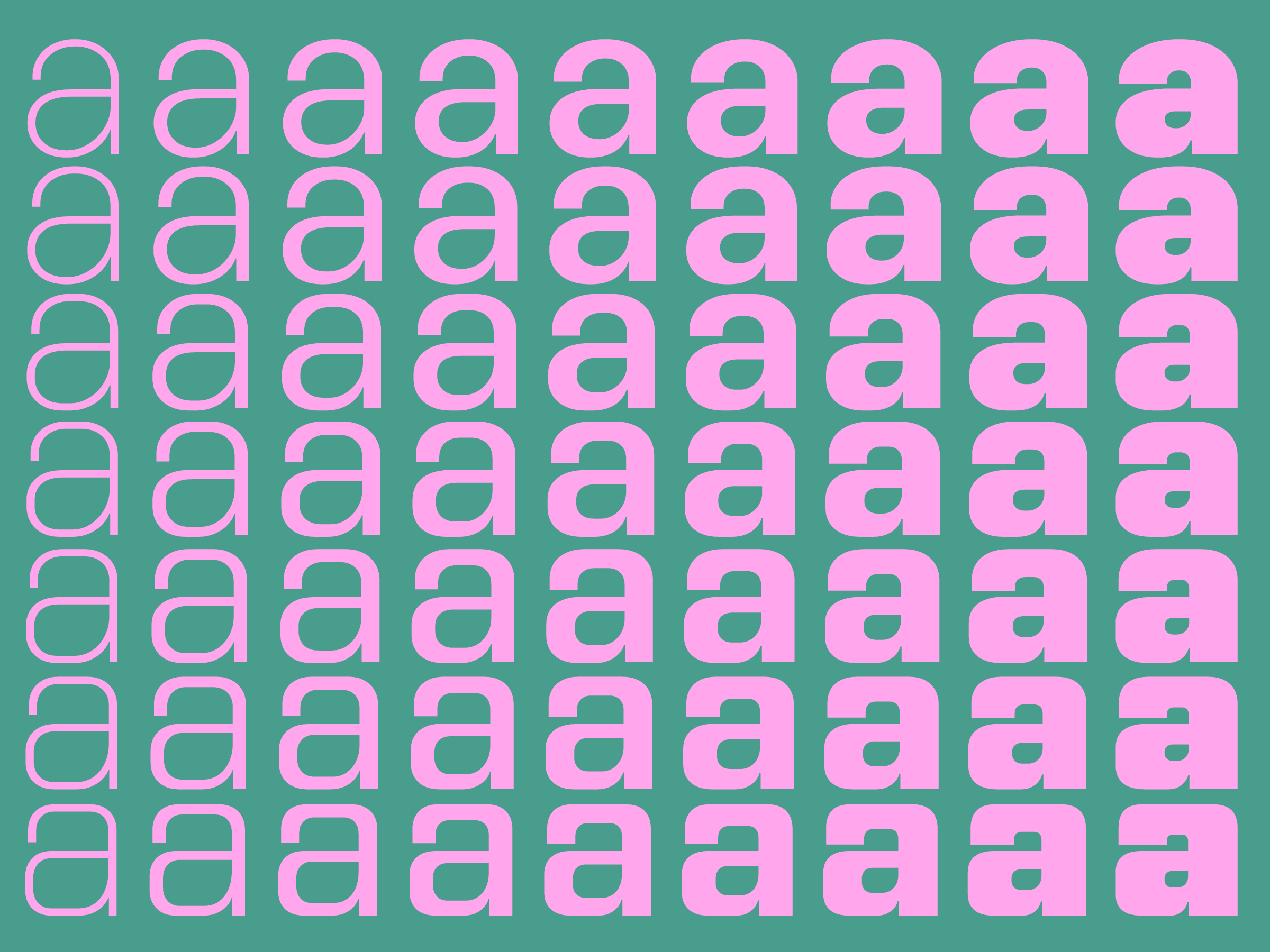 Studio Matthew van Ede